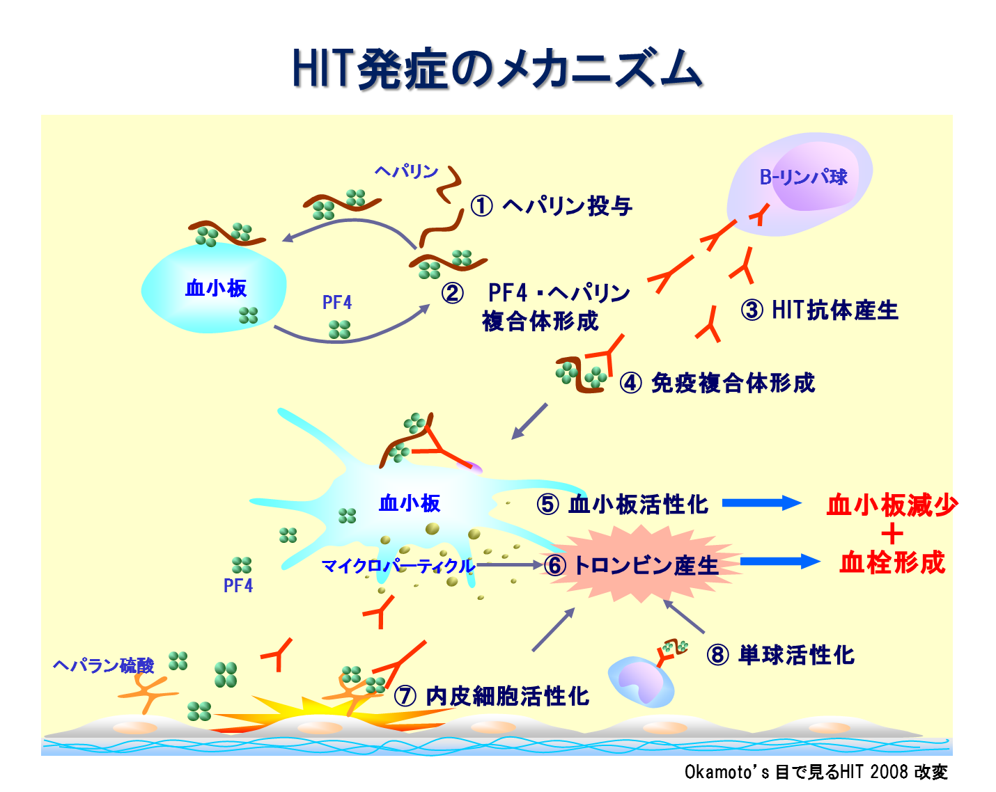 ヘパリン 化 と は